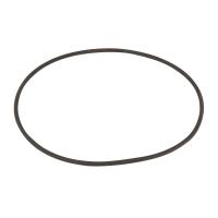 Уплотнительное кольцо форсунки донной Aquaviva EM2862