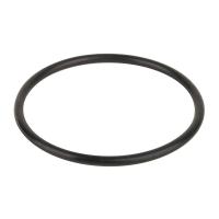 Уплотнительное кольцо соединительной муфты насоса Aquaviva VWS/STP 25-120