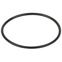 Уплотнительное кольцо крышки префильтра насоса Hayward (RPUM0003.09R)