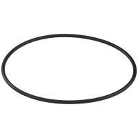 Уплотнительное кольцо корпуса насоса Aquaviva ZWE\WTB