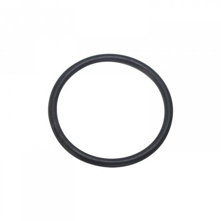 Уплотнительное кольцо Hayward (SX0220Z2)