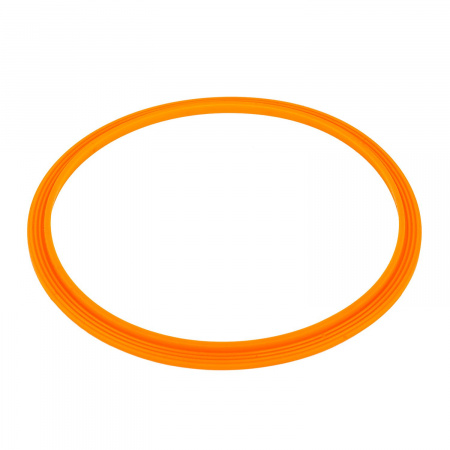 Уплотнительное кольцо AquaViva прожектора LED/UL-P100 2021004