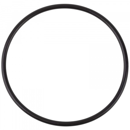 Уплотнительное кольцо крышки префильтра насоса Aquaviva VWS/STP 150-300