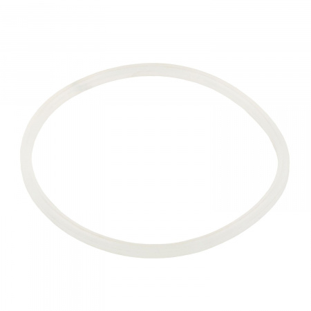 Уплотнительное кольцо AquaViva хлоратора SSC 2021044