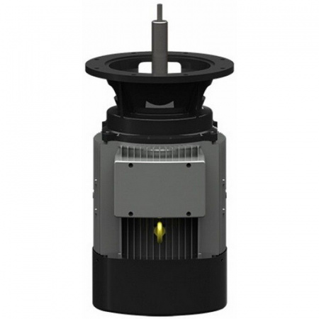 Насос Aquaviva APS1000P (380В, 180м³/ч, 10лс)