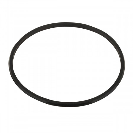 Уплотнительное кольцо крышки префильтра насоса Aquaviva VWS/STP 25-120 Уплотнительное кольцо крышки префильтра насоса Aquaviva VWS/STP 25-120