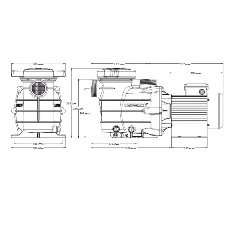 Насос Hayward PL 81006 (220В, 15м³/ч, 1лс)