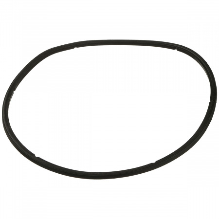 Уплотнительное кольцо крышки префильтра насоса Aquaviva AVP серии
