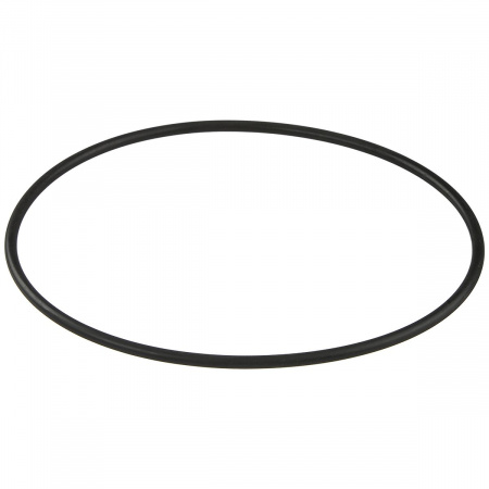 Уплотнительное кольцо корпуса насоса Aquaviva ZWE\WTB